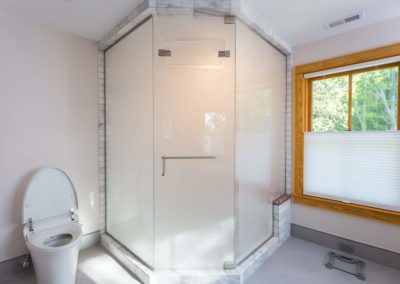 bath shower fog glass feature yorktown va remodel